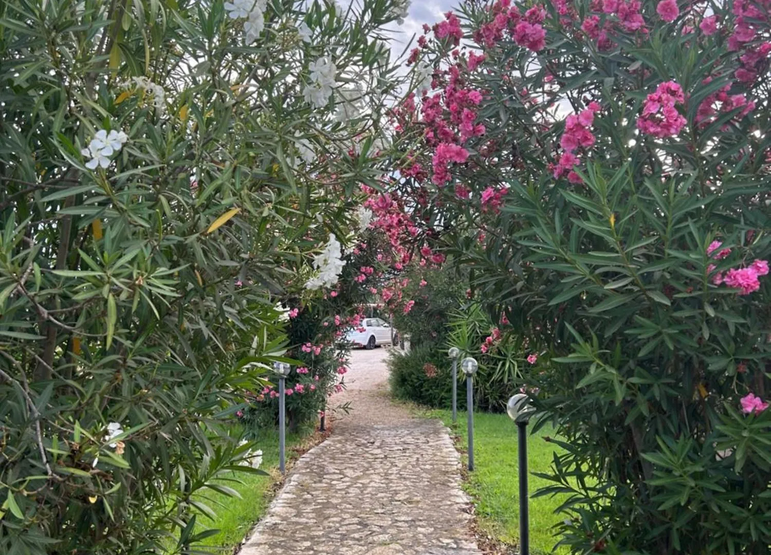 カントリーハウス Villa Relais アルゲーロ イタリア